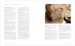 Beginner's Guide to Bread Baking Basics