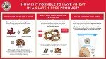 King Arthur Gluten Free Bread Flour - 2 lbs