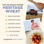 Organic Heritage Pasta Flour - 5 lbs