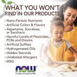 Organic Coconut Flour - High Fiber, Non-GMO, 16oz