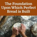 White Lily Unbleached Bread Flour, 5 Pound