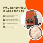 Fairhaven Mill Whole Grain Barley Flour - Blendable