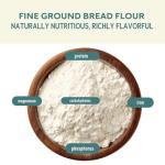 Organic High Protein Wheat Flour for Breads - 5 lbs