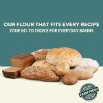 Organic High Protein Wheat Flour for Breads - 5 lbs