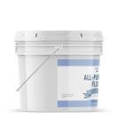 Versatile All-Purpose Flour for Baking (1 Gallon)