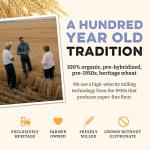 Organic Heritage Pasta Flour - 5 lbs