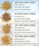 Hard Red Winter Wheat Berries - 5 lbs Non-GMO