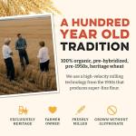 Heritage Organic Bread Flour Blend - 5 lbs