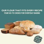 Fairhaven Mill Organic Millet Flour - Fine Texture