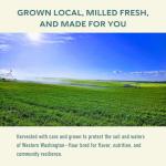 Fairhaven Mill Organic Millet Flour - Fine Texture