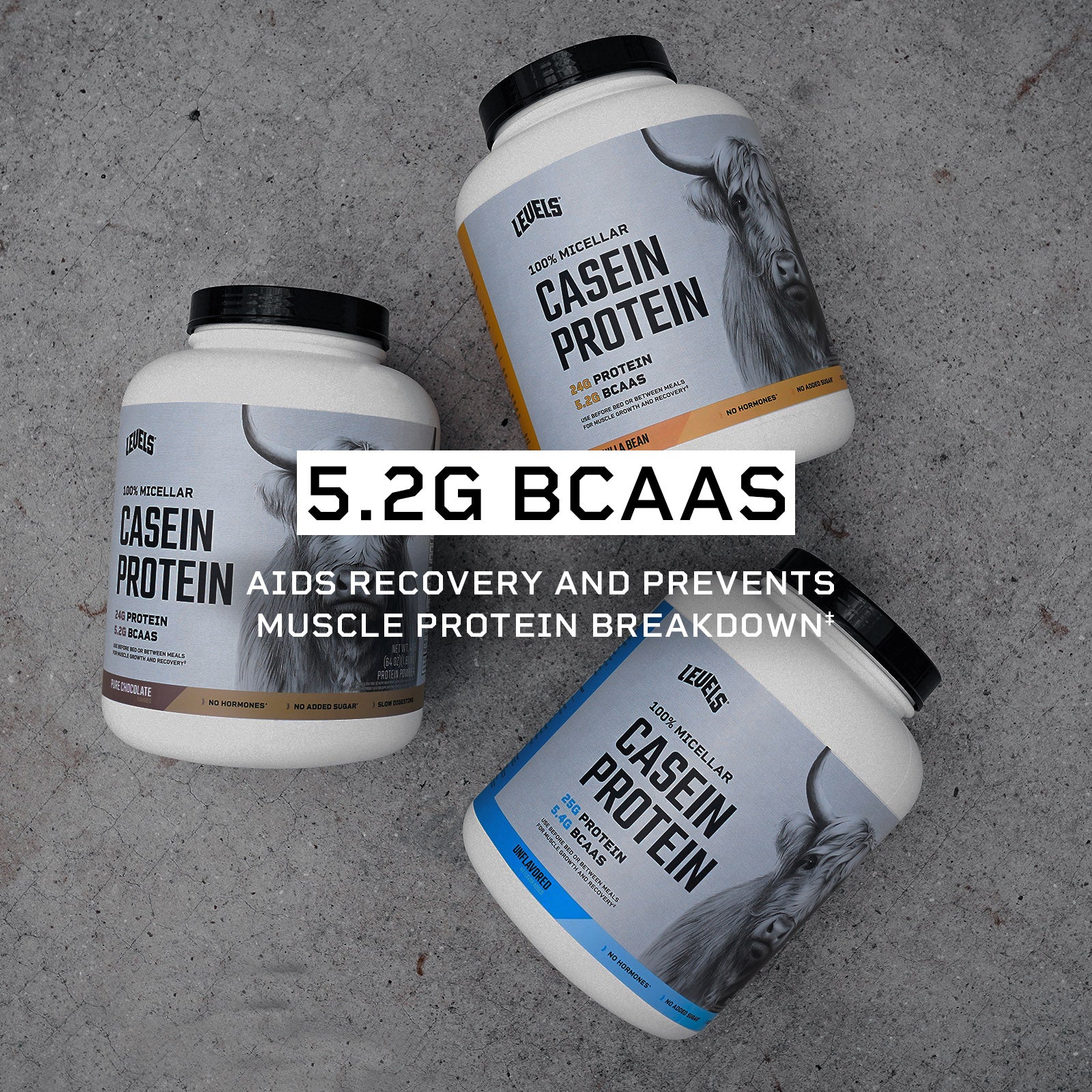 Vanilla Bean Micellar Casein Protein, Hormone-Free, 2LB