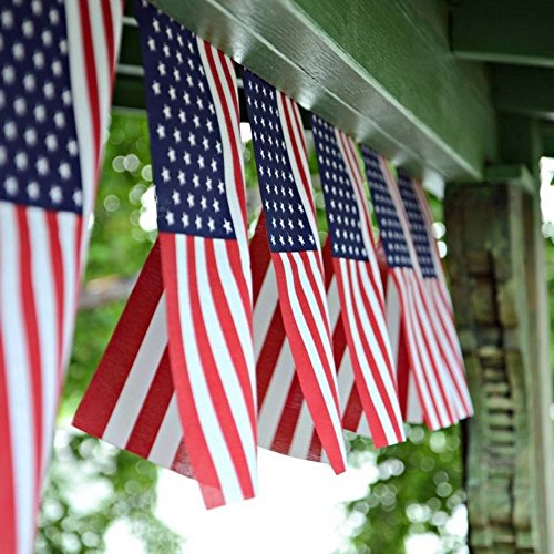 Patriotic Pennant Banners for 4th July Celebrations