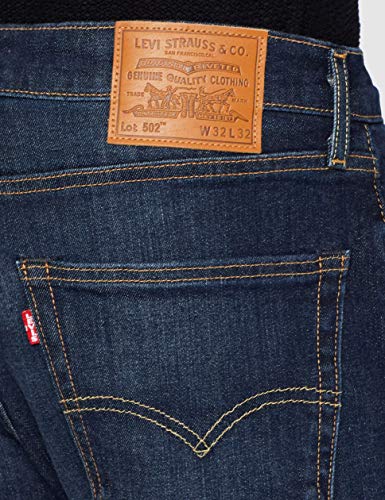 Levi's Men's 502 Taper Jeans, Biologia Adv, 34W / 32L