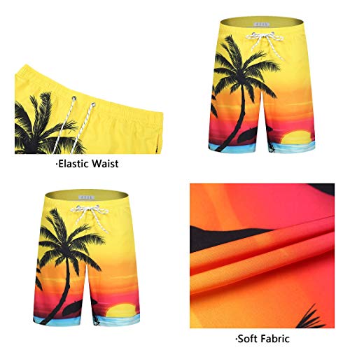 iCKER Mens Swim Shorts Swimming Trunks 3D Print Beach Shorts Boardshorts for Summer