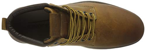 JACK & JONES Men's Jfwtubar Leather Honey Sn Ankle Boot, Honey, 9 UK