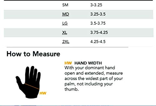 EVO Winter Thermal Inner Gloves Golf Skiing Cycling Motorbike walking Baselayer (Black, Medium)