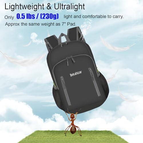 Bekahizar 20L Ultra Lightweight Backpack Foldable Hiking Daypack Rucksack Water Resistant Travel Day Bag for Men Women Kids Outdoor Camping Mountaineering Walking Cycling Climbing (Black)