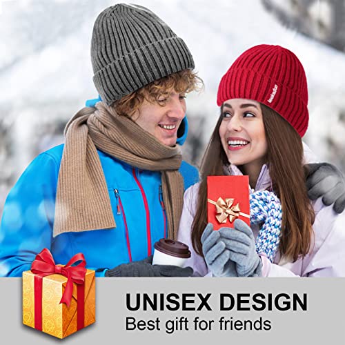 Unisex Beanie Hat - Winter Knit Hat Stretchy Soft Cuffed Beanie with Supersoft Velour Thermal Lining (Grey)