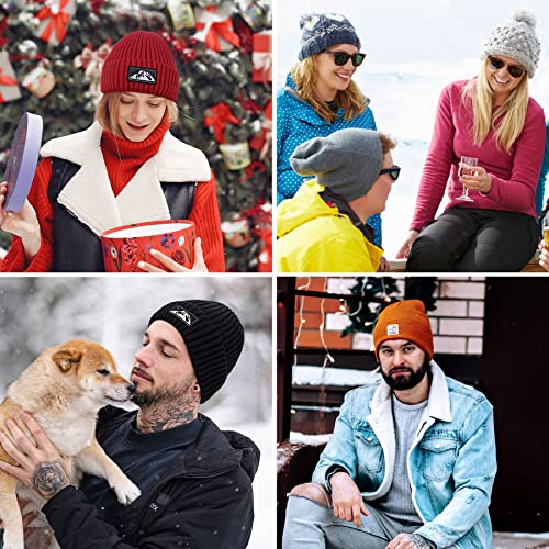 Gebell Men's Beanie Hat - Winter Knitted Beanie Hat Thermal Beanie Warm Soft Knit Cuffed Hat Classic Slouch Beanie for Men Grey