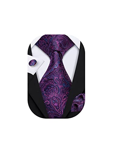 Barry.Wang Purple Paisley Ties for Men Silk Necktie Set Fashion Wedding Business