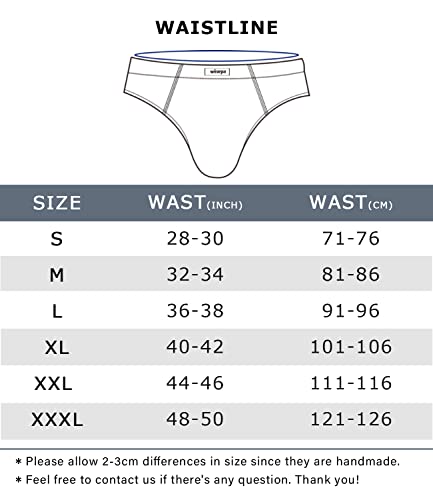 wirarpa Men's Black Modal Briefs Underwear Super Soft Microfibre Underpants No Front Slips Covered Waistband 4 Pack Large