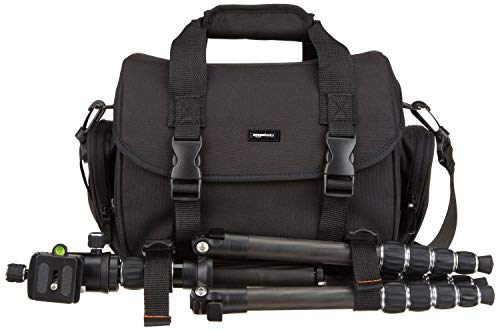 Amazon Basics Large DSLR Gadget Bag (Gray interior)