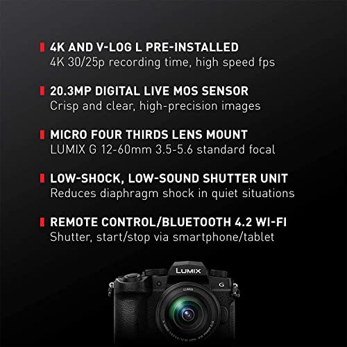 Panasonic LUMIX G95D Mirrorless Camera
