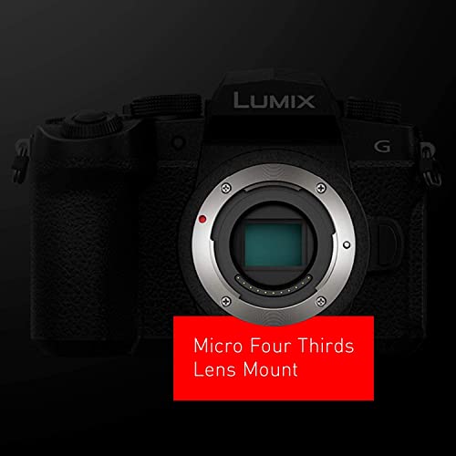 Panasonic LUMIX G95D Mirrorless Camera