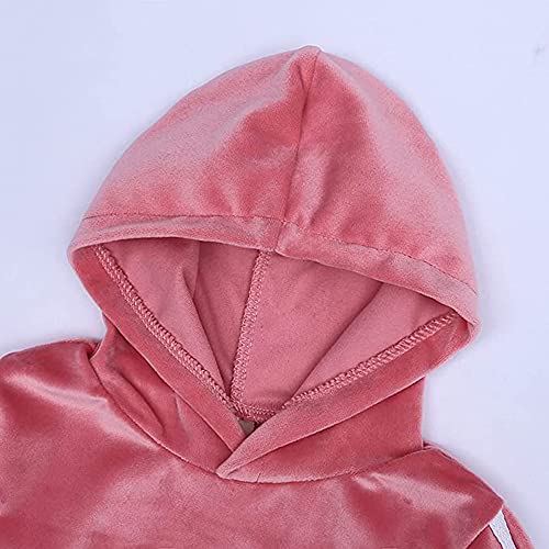 Hikewin Toddler Girls Clothes Set 2 Pcs Velvet Kids Long Sleeve Sports Hooded Outfits Pink 3-4 Years