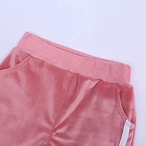 Hikewin Toddler Girls Clothes Set 2 Pcs Velvet Kids Long Sleeve Sports Hooded Outfits Pink 3-4 Years