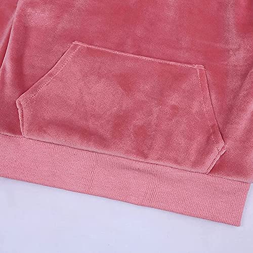 Hikewin Toddler Girls Clothes Set 2 Pcs Velvet Kids Long Sleeve Sports Hooded Outfits Pink 3-4 Years