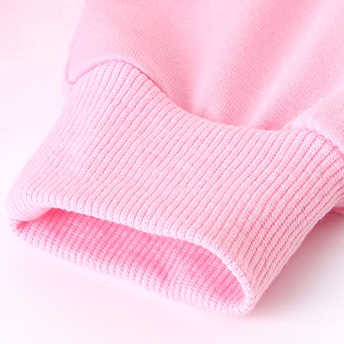 NAISISI Printed sports princess hoodie and pants 2 pieces/set suitable for girls aged 2-13 in pants and sportswear (Pink-130cm)