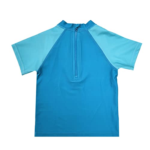 Boys Paw Patrol Swimsuit T-Shirt Swim Shorts Trunks 2 Piece (Paw Patrol, 5-6 Years)