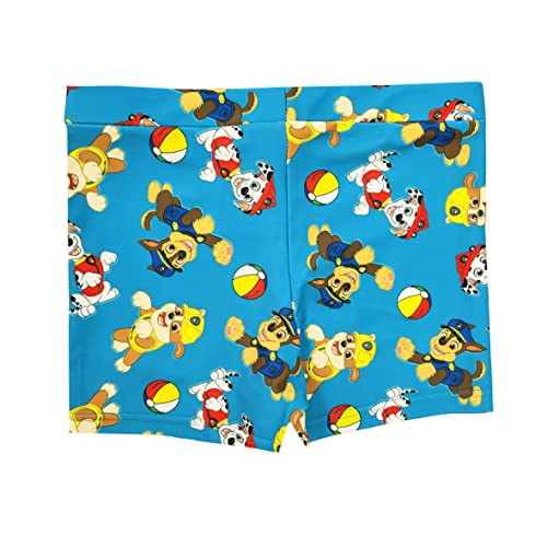 Boys Paw Patrol Swimsuit T-Shirt Swim Shorts Trunks 2 Piece (Paw Patrol, 5-6 Years)
