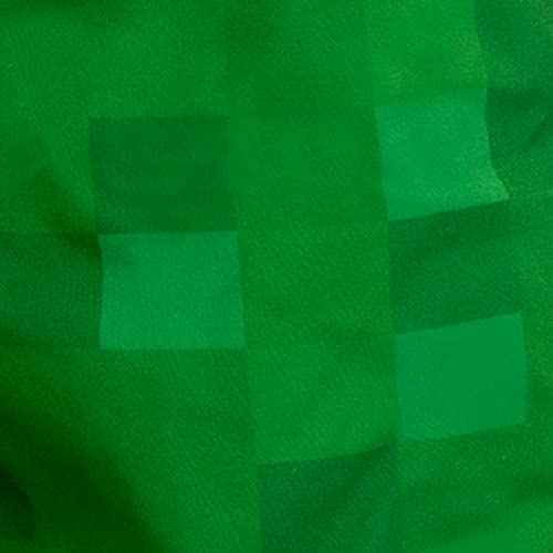 Minecraft Boys Creeper Swim Set Two Piece Swimwear for Kids 7-8 Years Green