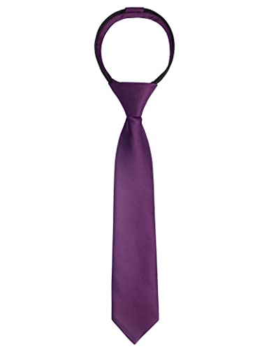Alizeal Boys Solid Color Pre-tied 6cm Zipper Skinny Necktie, Dark Purple