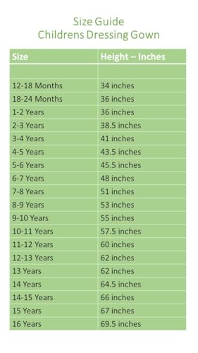 Boys Paw Patrol Dressing Gown Bathrobe Character Wear (Paw Patrol, 2-3 Years)