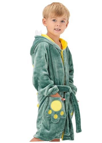 YLLSOPHAN Boys Girls Animal Pattern Cow Dinosaur Crocodile Frog Koala Hooded Dressing Gown Nightwear Bathrobe Robe Extra Thickness Fleece (as8, age, 5_years, 6_years, regular, New Dinosaur)