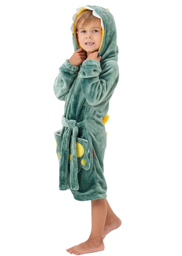 YLLSOPHAN Boys Girls Animal Pattern Cow Dinosaur Crocodile Frog Koala Hooded Dressing Gown Nightwear Bathrobe Robe Extra Thickness Fleece (as8, age, 5_years, 6_years, regular, New Dinosaur)