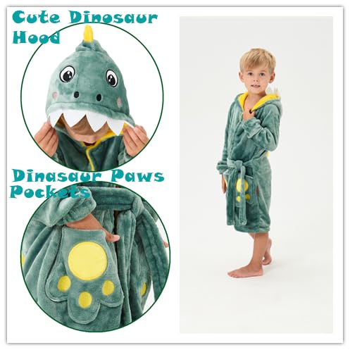 YLLSOPHAN Boys Girls Animal Pattern Cow Dinosaur Crocodile Frog Koala Hooded Dressing Gown Nightwear Bathrobe Robe Extra Thickness Fleece (as8, age, 5_years, 6_years, regular, New Dinosaur)