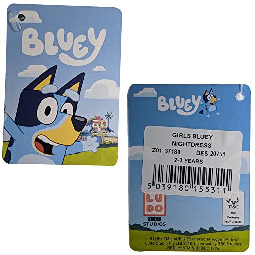 Bluey Girls Nightdress - Sizes 2 to 6 Years - Moon and - 4-5 Years (104-110 cm) Lilac/Blue