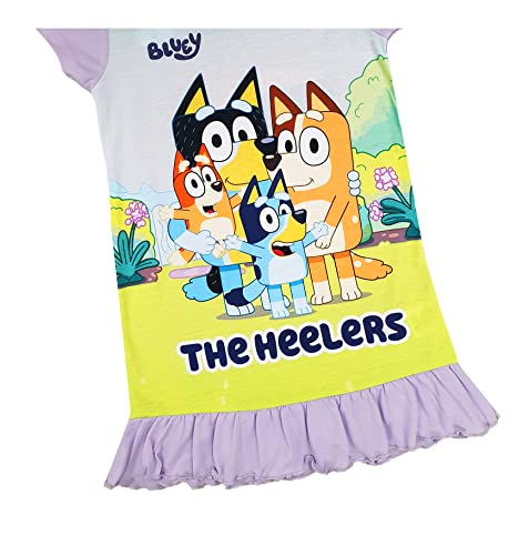 Girls Bluey Nightie Nightdress Night Shirt (Bluey, 3-4 Years)