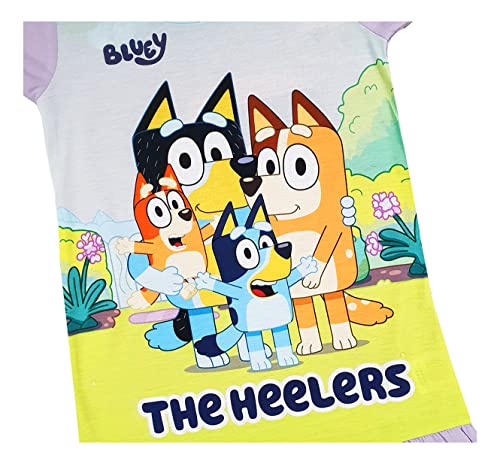 Girls Bluey Nightie Nightdress Night Shirt (Bluey, 3-4 Years)