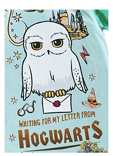 Girls Harry Potter Nightie Nightdress Night Shirt (Harry Potter, 9-10 Years)