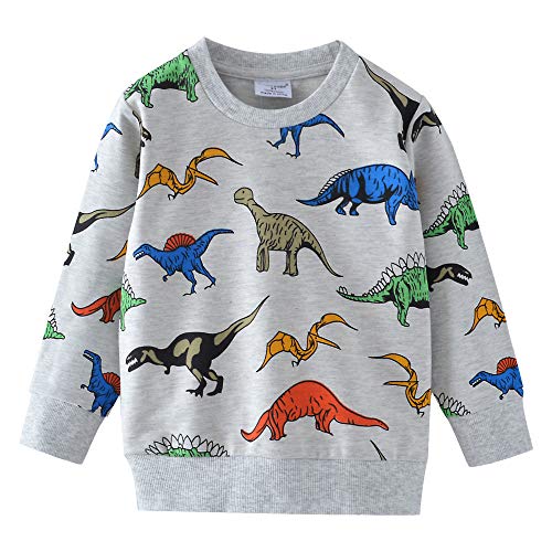 DHASIUE Kids Boys Dinosaur Sweatshirt Jumper T-Shirt Cute Long Sleeve Tops Casual Cotton Tee Shirts Toddler Clothes Age 1-7 Years