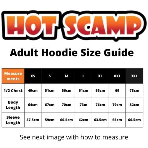 Gamer Hoodie for Teen Do Not Disturb Gaming Mode Activated Unisex Adults and Kids Hoodie Gamer for Adult Men Women Console Game Online Hoody for Boys (12-13 Years, black)