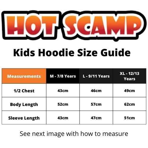 Gamer Hoodie for Teen Do Not Disturb Gaming Mode Activated Unisex Adults and Kids Hoodie Gamer for Adult Men Women Console Game Online Hoody for Boys (12-13 Years, black)