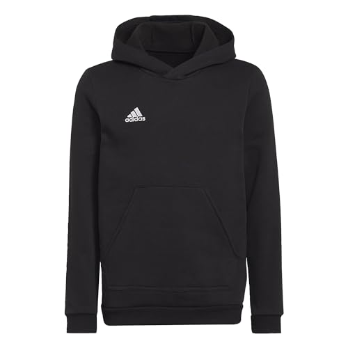 adidas Unisex Kids Entrada 22 Sweat Hoodie, Black, 11-12 Years