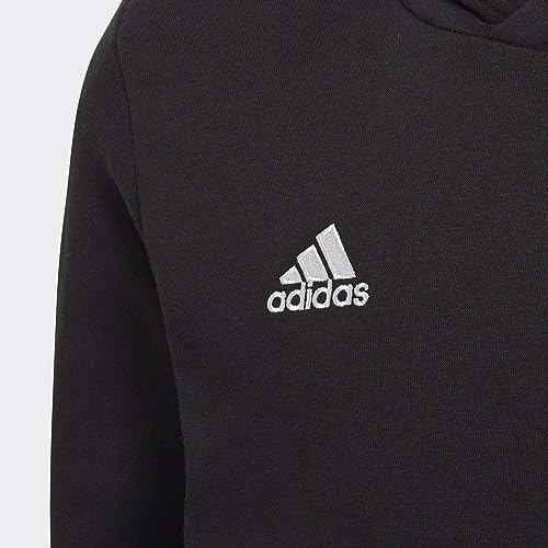 adidas Unisex Kids Entrada 22 Sweat Hoodie, Black, 11-12 Years