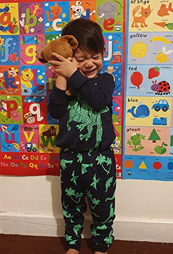 TEDD Boys Pyjamas Dinosaur Nightwear Cotton Toddler Clothes Kids Sleepwear Winter Long Sleeve Christmas Pjs Sets 2 Piece Outfit Xmas Gift 6-7 Years